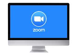 zoom meetings and consultations